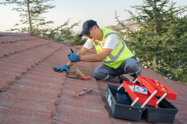 Best Roof Leak Repair  in USA